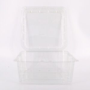 Vaschette in PET per frutta ortaggi alimenti uova pezzi 336 mm 182x182x95 550505_5