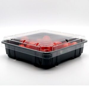 Vaschetta PET con Coperchio e Pluriball per Frutta e verdura 927 pezzi 550606_3