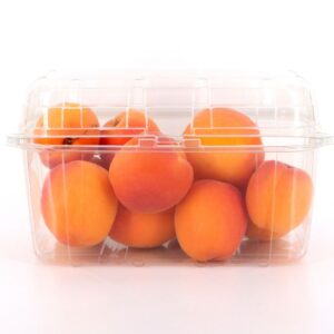 Vaschette in PET per frutta ortaggi alimenti uova pezzi 568 cm 19x11.5x11 550504_4