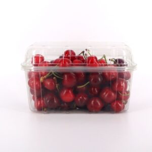 Vaschette in PET per frutta ortaggi alimenti uova pezzi 568 cm 19x11.5x11 550504_3