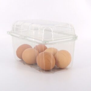 Vaschette in PET per frutta ortaggi alimenti uova pezzi 568 cm 19x11.5x11 550504_6