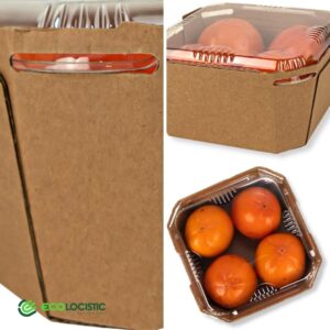Vassoi Cartone Avana Pezzi 800 con Coperchi Trasparenti Frutta Verdura 1 kg 552502_4
