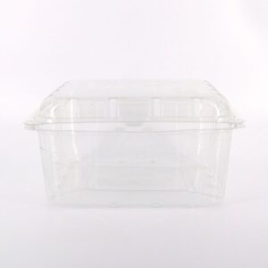 Vaschette in PET per frutta ortaggi alimenti uova pezzi 336 mm 182x182x95 550505_6