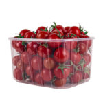 Vaschette in Plastica in PP mm 170x135x95 Contenitore da 1 Kg Per Frutta ed Ortaggi Pezzi 804 550033_1